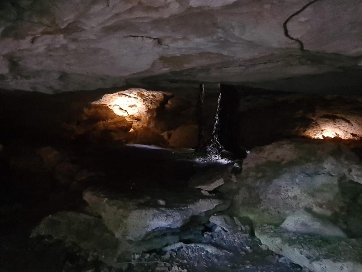 فندق Zenote Sanctuary (Adults Only) تولوم المظهر الخارجي الصورة